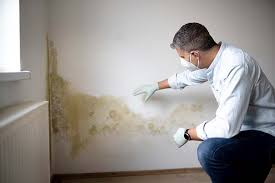 Best Mold Odor Removal Services  in USA